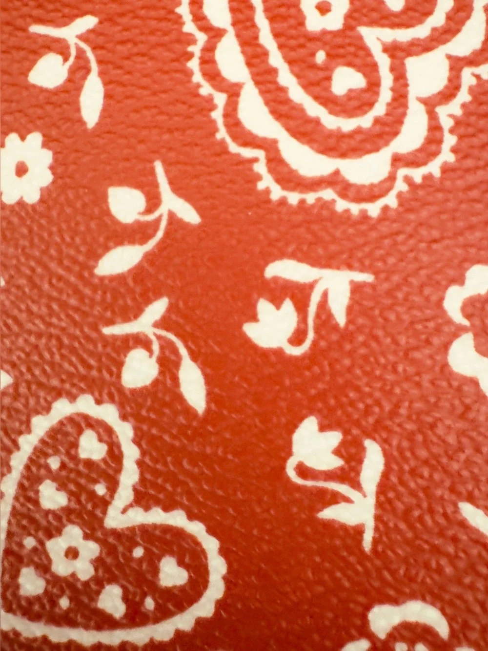 COACH Lace Heart Print Small Wristlet Red/White NWOT